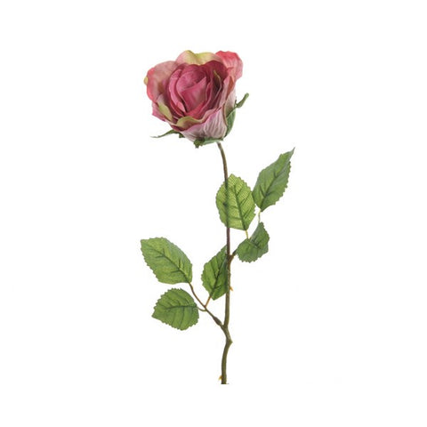 CLOSED ROSE SOFT PINK