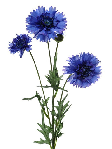 CORNFLOWER SPRAY BLUE