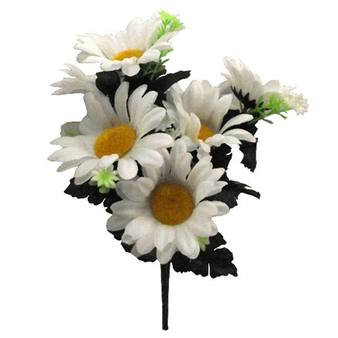 DAISY BUSH WHITE 30CM