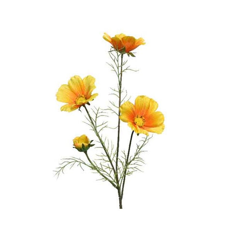 COREOPSIS X 4 YELLOW