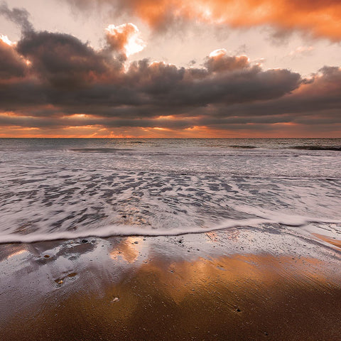 COASTER COMPTON BAY SUNSET