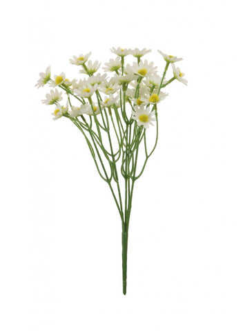 SUMMER DAISY BUNCH WHITE
